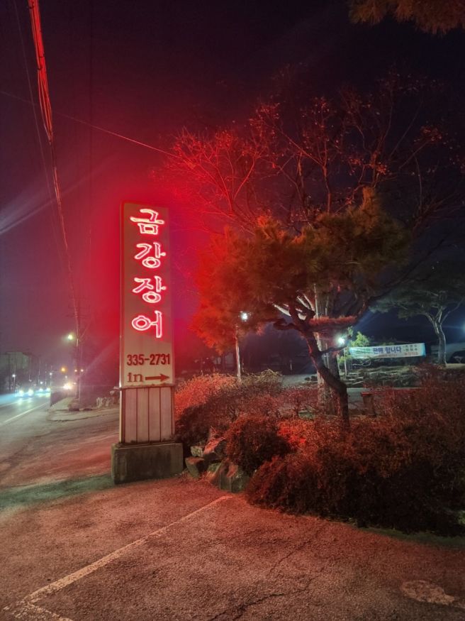 [내돈내산] 예산 현지인 장어맛집 금강장어