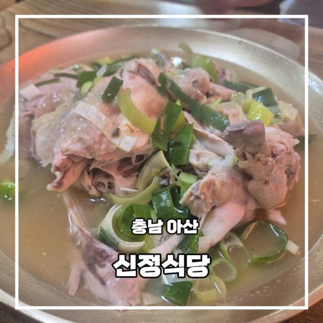 허영만 식객도 반한 아산 밀면 맛집 신정식당 솔직후기