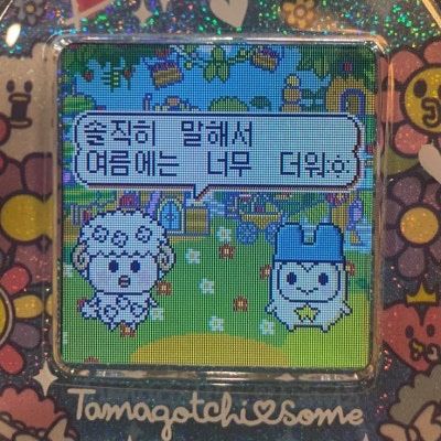 [경산맛집] 마당닭갈비, 마당넓은집 내돈내산 방문후기