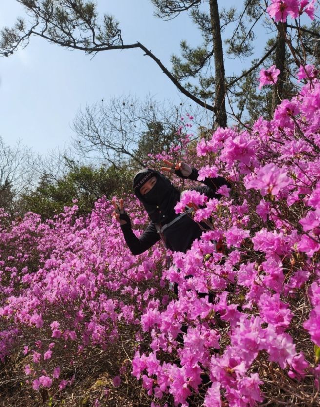 ビューアーイメージ