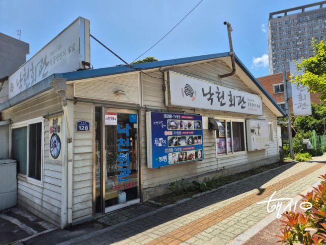 속초 청초호 맛집 낙천회관 속초 중앙시장 근처 홍게냉면 맛집