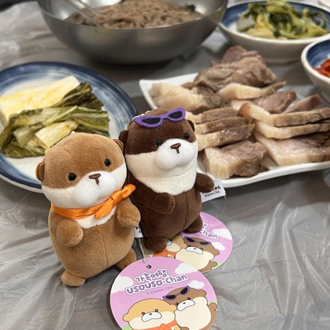 고성 맛집 :: 수육이 맛있는 백촌막국수