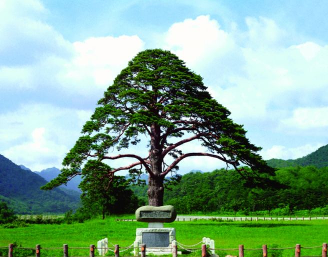보은 구병산(九屛山)관광