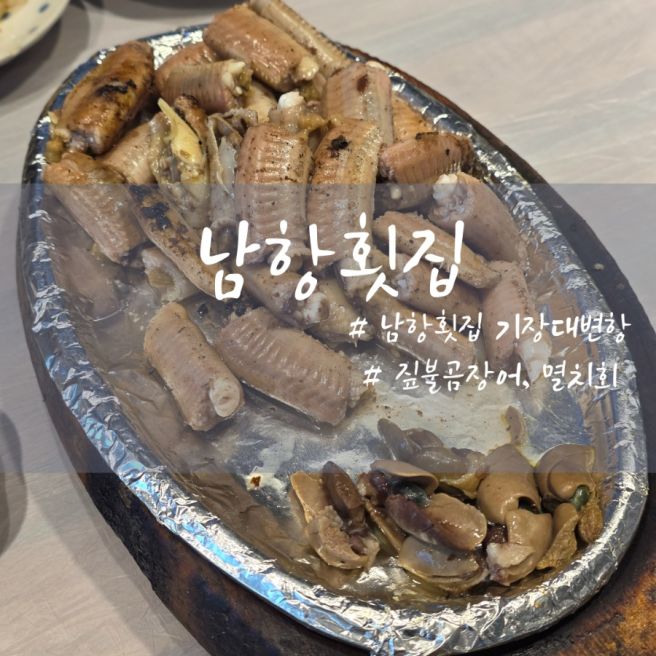 기장 남항횟집 기장대변항 곰장어, 멸치회 솔직후기