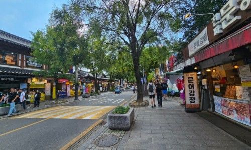 전주 풍년제과와 PNB 풍년제과의 역사 초코파이 추천