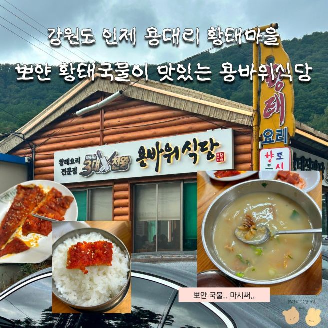 강원도 인제 용대리 황태마을 용바위식당ㅣ주차장ㅣ속초 가는 길 맛집