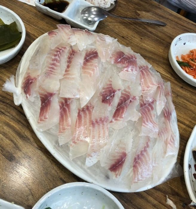 [제주 한달살기 맛집] 제주시청 근처 현지인 회 맛집 '백선횟집'에서 따치회 내돈내산 🩵