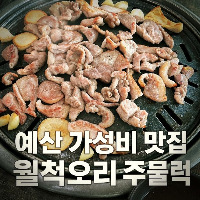 예당저수지 근처 가성비 오리주물럭 맛집, 예산 월척오리 추천
