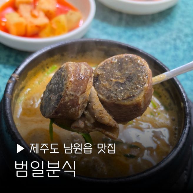 제주도 현지인 맛집 범일분식 남원읍 주민들도 줄 서는 순대백반 내돈내산