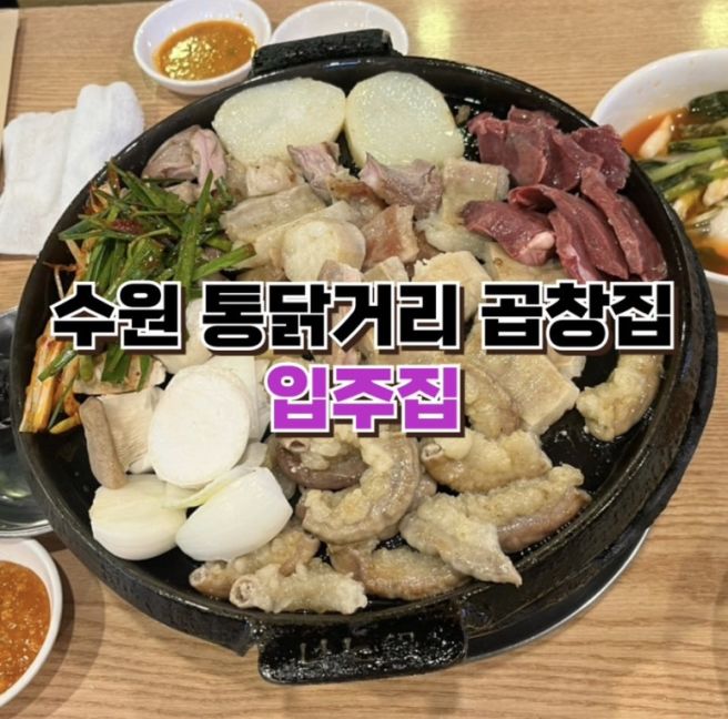 수원 통닭거리 곱창 맛집 입주집 행궁동 맛집 웨이팅 내돈내산 후기