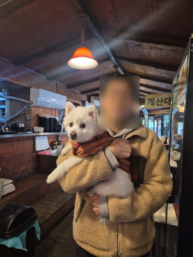 대구군위 팔공산 한식맛집, 편안한 애견동반식당 시골밥상 후기, 예약 방법