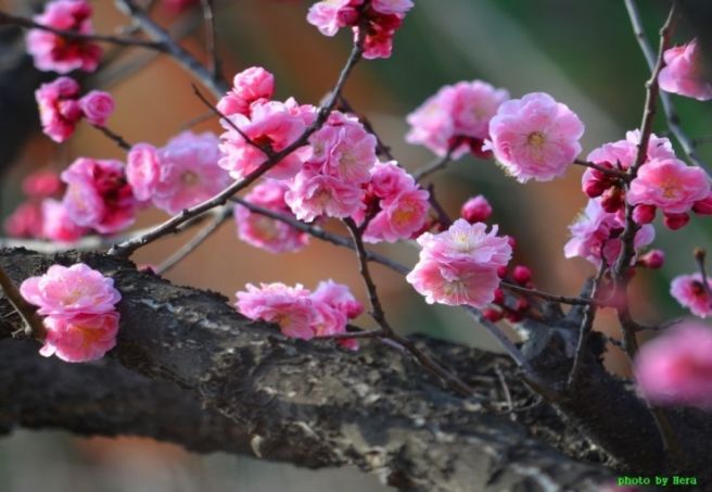바람내음 이미지