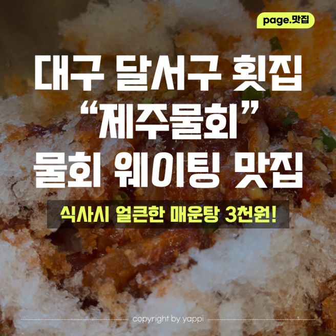 대구 달서구 물회 맛집 '제주물회' 내돈내산 현지인 솔직 후기