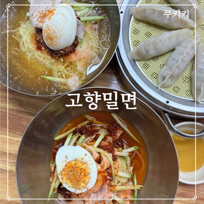 [경주 고향밀면] 줄 서서 먹는 금리단길, 경주 밀면 맛집