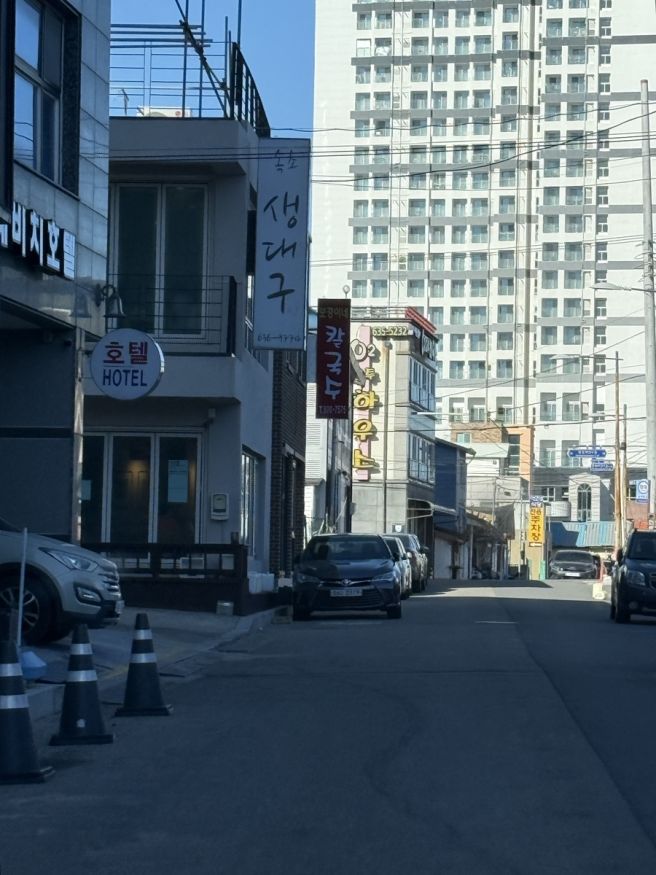 속초 생대구 / 감나무집 옹심이 / 실로암 메밀막구수 / 속초가면 꼭 들려야 하는 맛집 추천