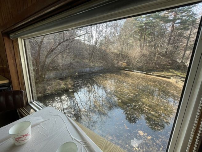 평창 겨울 송어회 남우수산횟집 가족과 맛있게 식사함