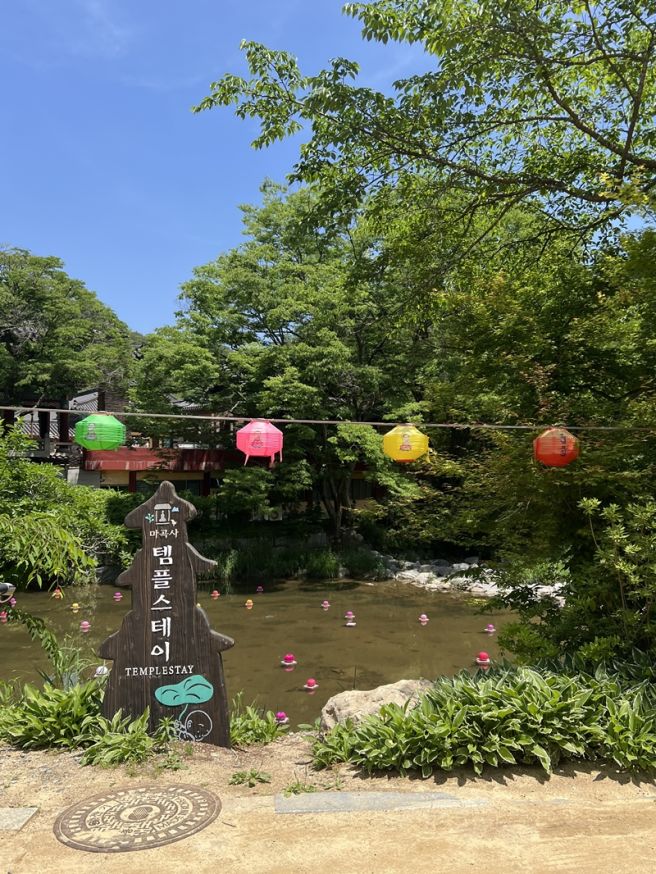 🌰 공주 드라이브 : 추천 맛집, 웨이팅 정보, 당일치기 일정 / 마곡사 / 새이학가든 / 부자떡집 / 카페마암