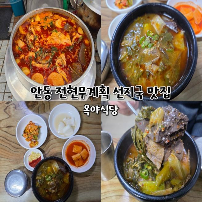 안동 옥야식당 선지국밥 맛집 가격 주차 전현무계획