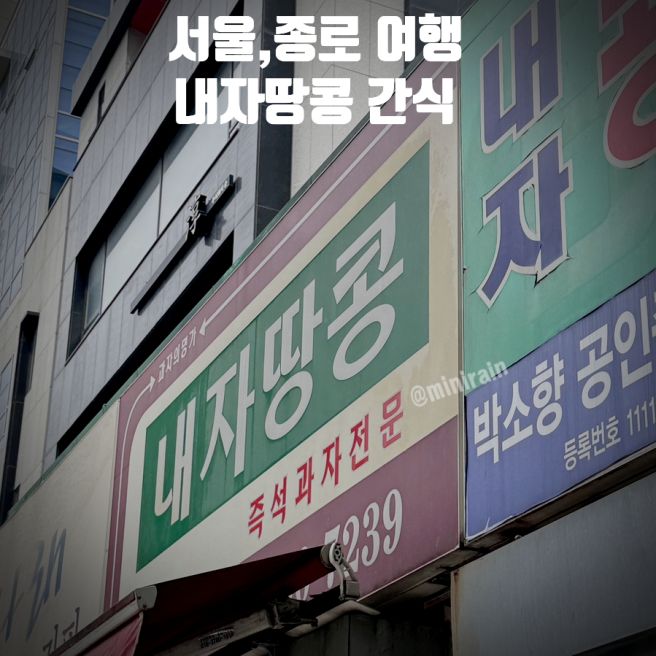 내자땅콩 서울 종로 줄 서서 먹는 전통 간식 맛집 방문 꿀팁
