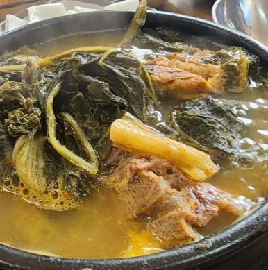논공맛집, 달성보 맛집 홍천 뚝배기 본점 극가성비 8천원 뼈해장국 맛집(fead. 달상보 라이딩 갔다가...