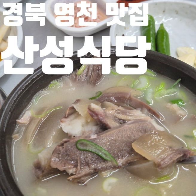 경북 영천 시장 곰탕 골목 맛집 산성식당