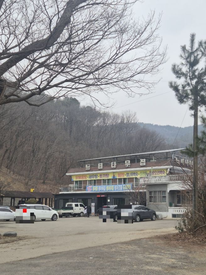 [진천 맛집] 느티나무집 : 몸 보신에 최고!