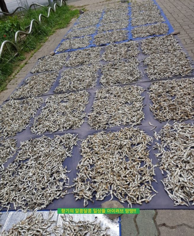 칠곡맛집/왕근이 칼국수 드셔보셨나요!!