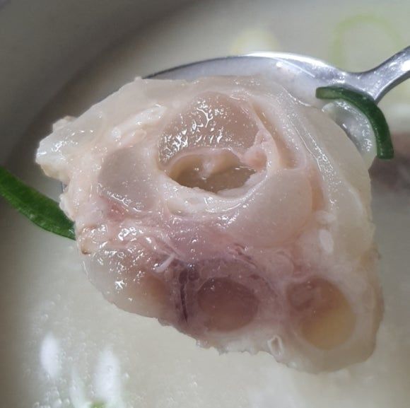 영천 맛집 "포항할매집곰탕" 70년전통의 3대가 이어온 곰탕맛집 내돈내산 방문후기