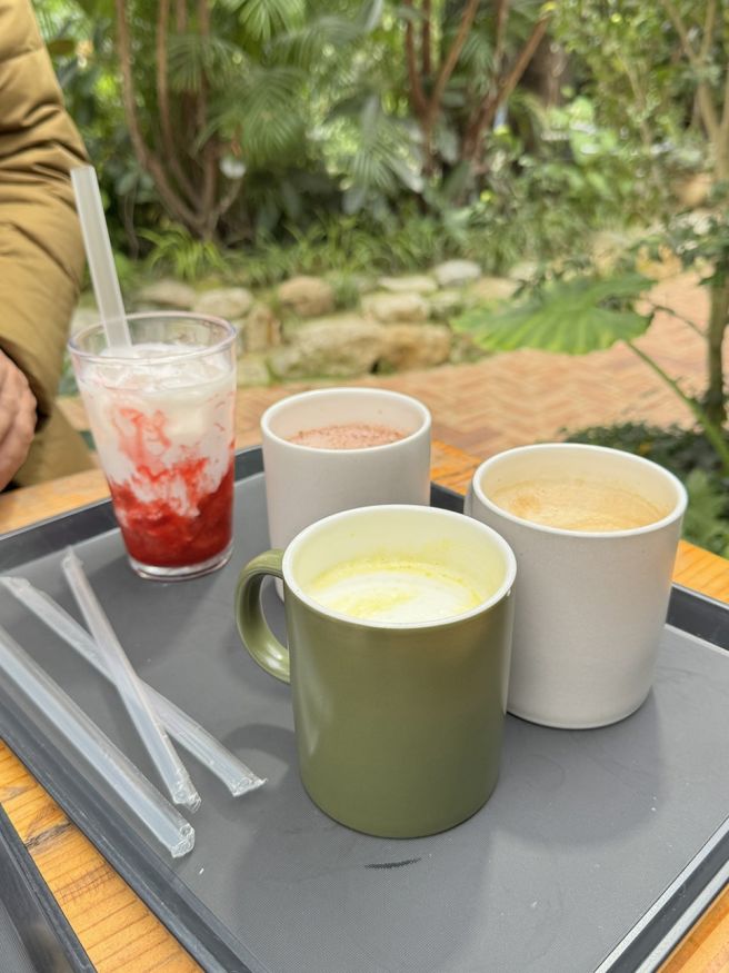 사계절 푸른 숲 속, 영주 문수 식물원 온실 카페 사느레정원