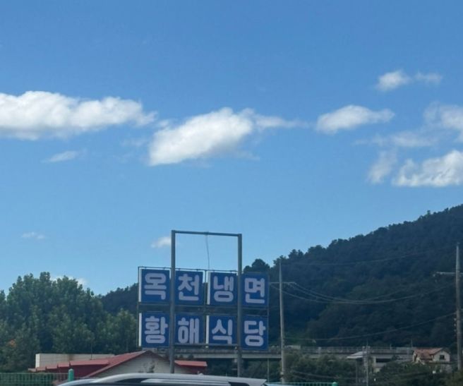 양평맛집 옥천냉면 황해식당 본점｜굵은 면발의 황해도식 냉면과 고기 가득 완자🍴