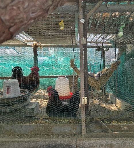 할미의 영주 여행 / 영주 맛집 영주전통묵집식당의 태평초