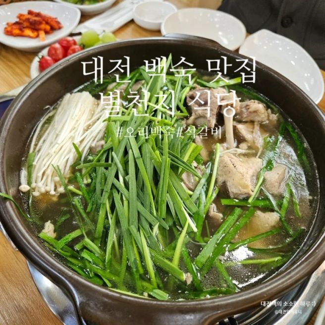 대전 동구 백숙 맛집 별천지 가족모임 추천 정원 있는 식당
