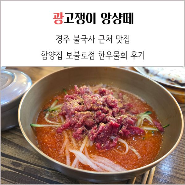 경주 불국사 근처 한우물회 맛집 함양집 보불로점 후기