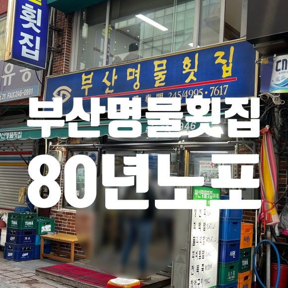 80년 노포 회장님들이 찾으신다는 부산 자갈치시장 맛집 "부산명물횟집" 내돈내산 인생횟집 후기