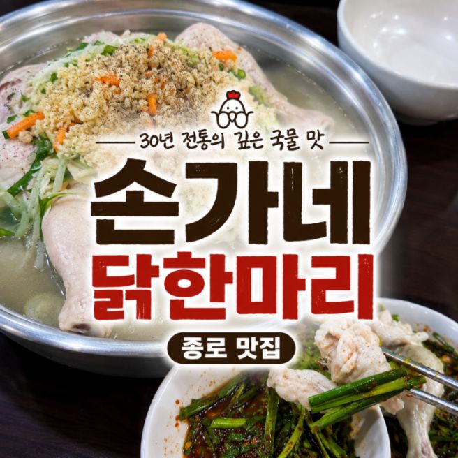 종로 닭한마리 맛집 추천 우리 가족 단골 “손가네닭한마리” 내돈내산 후기🍲