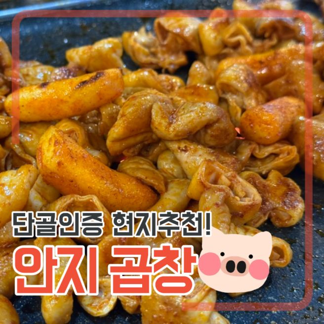대구 [안지랑 곱창골목]현지인 단골집 ‘안지’, 여전히 착한 가성비 한 바가지! 내돈내산