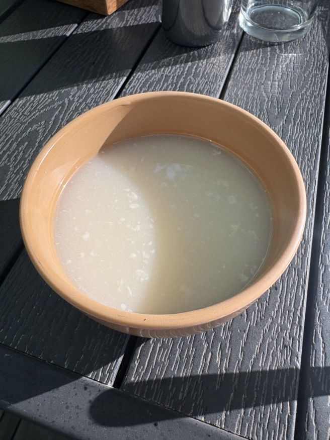 [대구 가창/맛집] 야외식당 계곡근처 미나리삼겹살 “숲속의집” 솔직후기 (애견동반 가능)