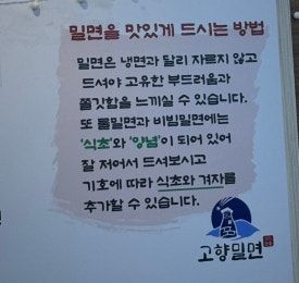 경주황리단길맛집 추천 고향밀면 본점