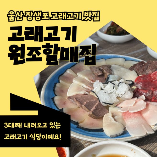 울산 장생포 고래박물관 근처 맛집 "고래고기 원조 할매집"