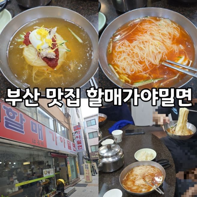 [부산 맛집] 밀면 전통의 맛집 "할매가야밀면" @남포역