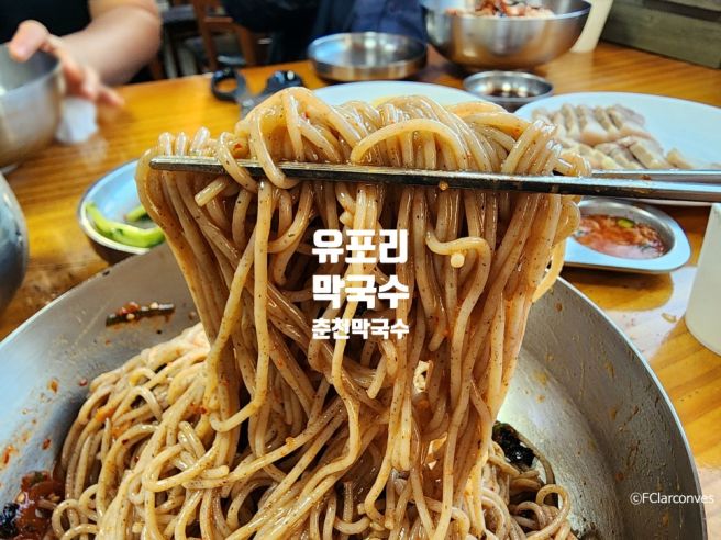 [유포리 막국수] 춘천 막국수 맛집, 춘천 3대 막국수