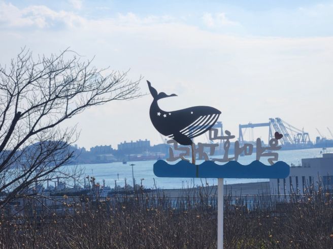 울산 장생포 고래문화마을 탐방 트레킹 후 고래고기원조할매집 미식 포토기 [재부 부산대토목73 친구들...