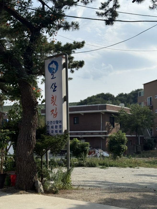 양양 동호해변 맛집 오산횟집 섭국 칼국수 해물전 리뷰