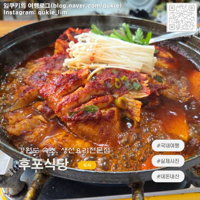강원도 속초 l 후포식당 웨이팅 생선조림 혼밥 후기