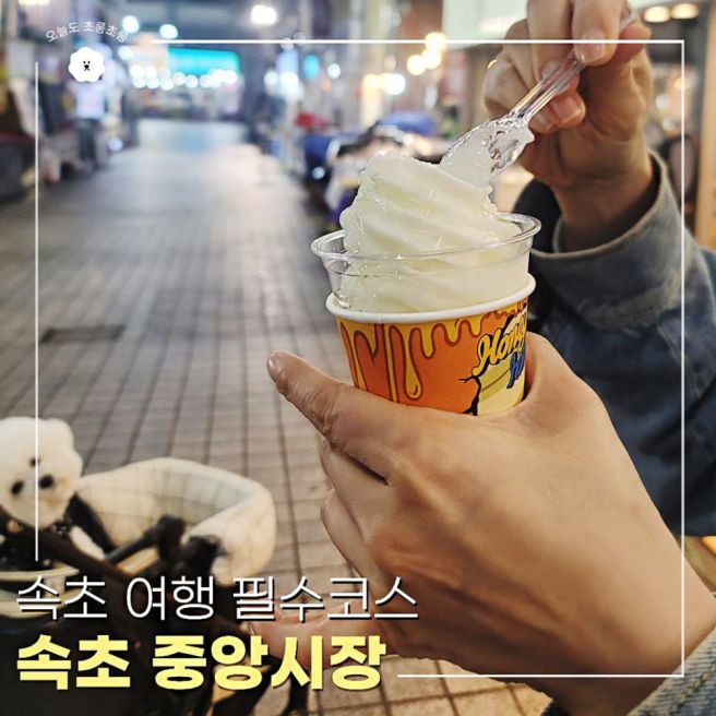 속초 중앙시장 먹거리 리스트 만석닭강정, 우리분식, 황부자튀김