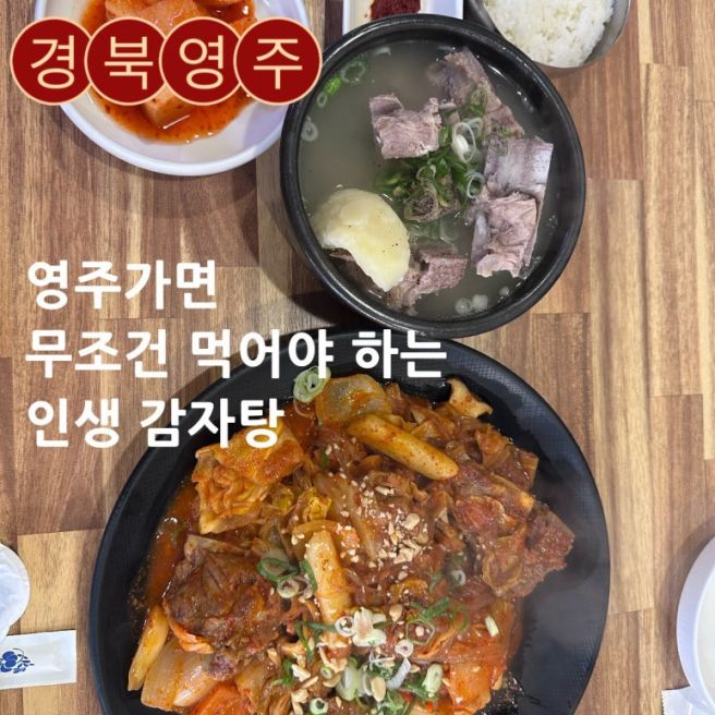 영주여행 맛집 | 명동감자탕 하얀감자탕 매운등뼈찜 내돈내산 후기