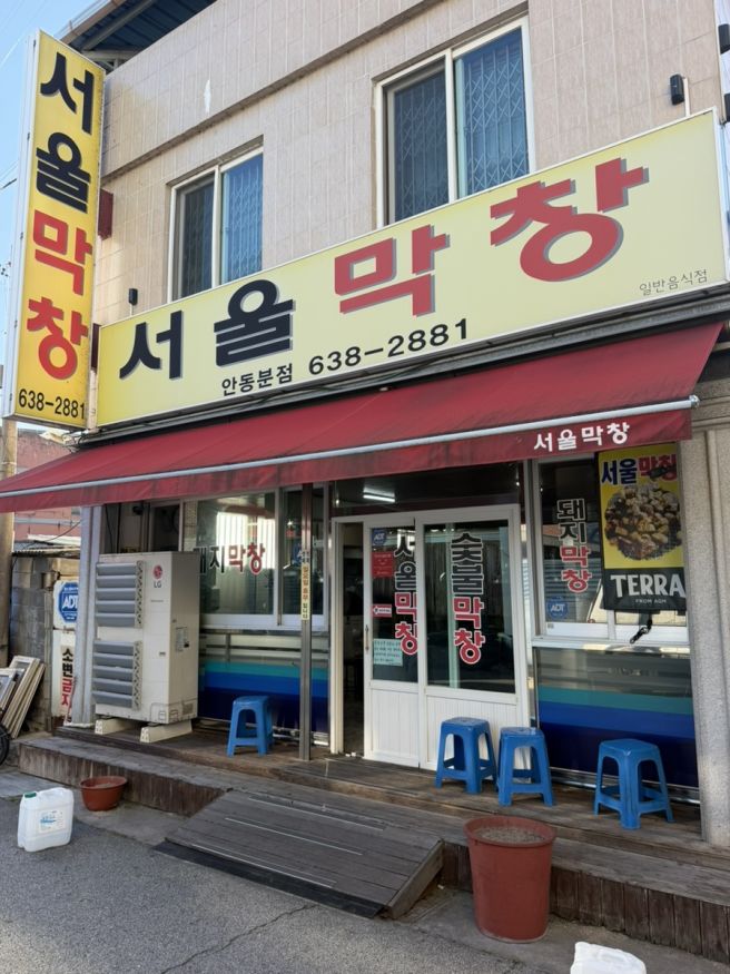 [경북/영주] 영주 현지인 로컬 막창 맛집 서울막창 안동분점