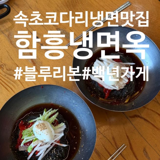 속초 블루리본 코다리냉면 함흥냉면옥, 속초중앙시장 근처 추천