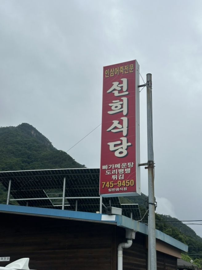 금산 인삼어죽 현지인 맛집 영동 선희식당 도리뱅뱅