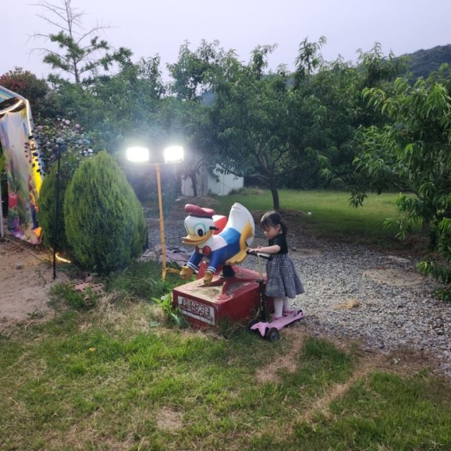 [전남 광주] 광산구 캠핑식당 "썬바라기"